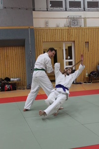 Weihnachtstraining vom 20.12.2012