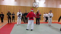 Weihnachtstraining vom 17.12.2013